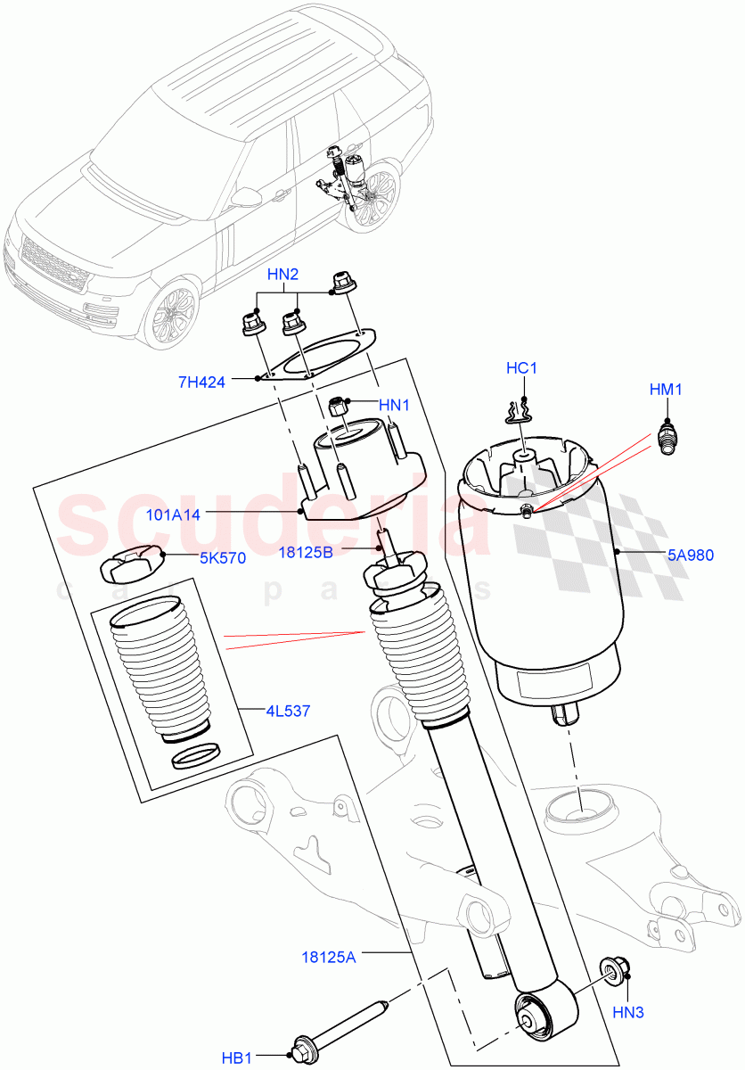 Rear Springs And Shock Absorbers of Land Rover Land Rover Range Rover (2012-2021) [5.0 OHC SGDI NA V8 Petrol]