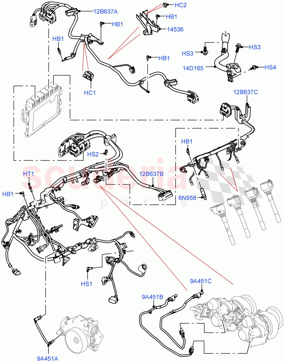 Engine Harness (RH Side) (4.4 V8 Turbo Petrol (NC10)) of Land Rover Land Rover Range Rover (2022+) [4.4 V8 Turbo Petrol NC10]
