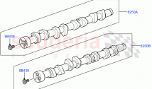 Camshaft(Nitra Plant Build)(5.0 Petrol AJ133 DOHC CDA)((V)FROMM2000001)