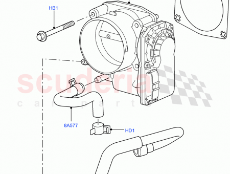 Photo of HOSE…