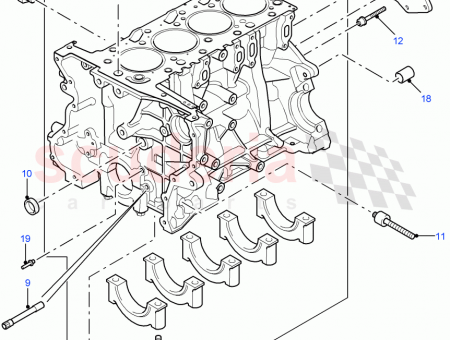 Photo of SCREW…